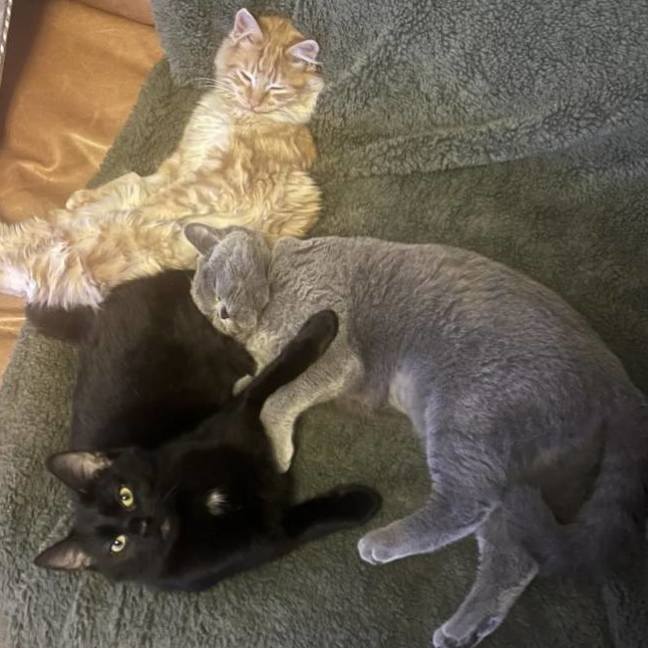 Photo of ✨Winnie✨