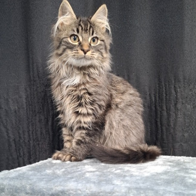 Photo of Calvin