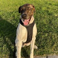 Photo of 💗 Sally 💗