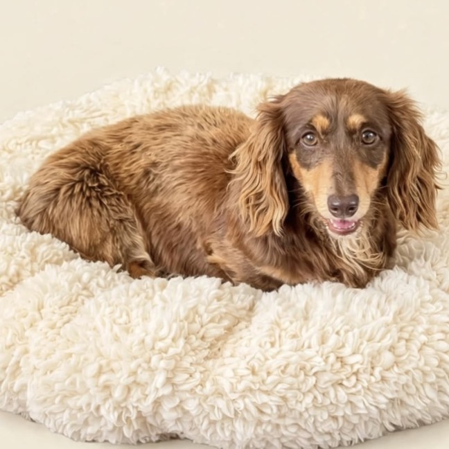 Photo of Matilda