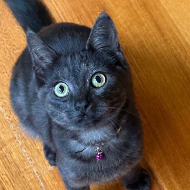 Photo of Lara