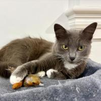 Photo of Keisha