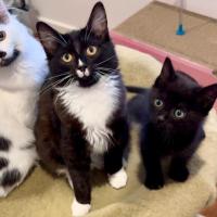 Photo of Charlotte & Benson