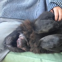 Photo of Bjorn
