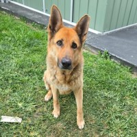 Photo of Lucy