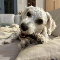 Photo of Beanie 