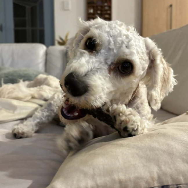 Photo of Beanie 