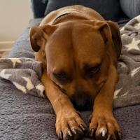 Photo of Maya
