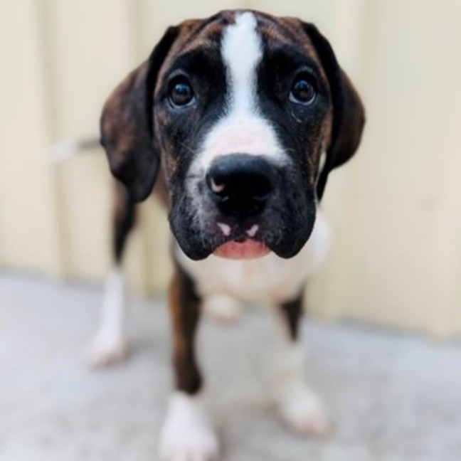 Photo of Clam Chowder