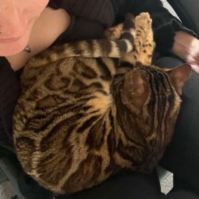 Photo of Bean