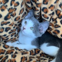 Photo of Chad 🐻‍❄️💙🐻‍❄️