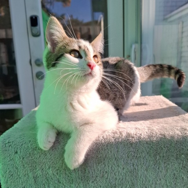 Photo of Hazel