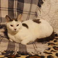 Photo of Miracle 