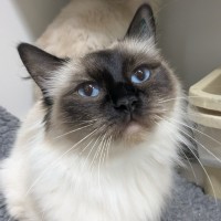 Photo of 🪼 Chloe 6924 🪼