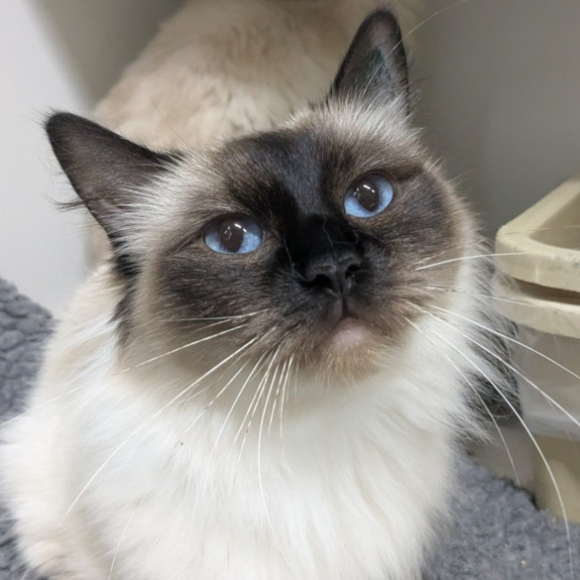 Photo of 🪼 Chloe 6924 🪼