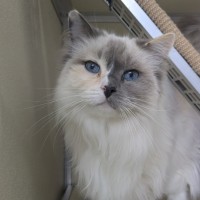 Photo of ⭐ Missy 6436 ⭐