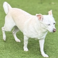 Photo of Missy