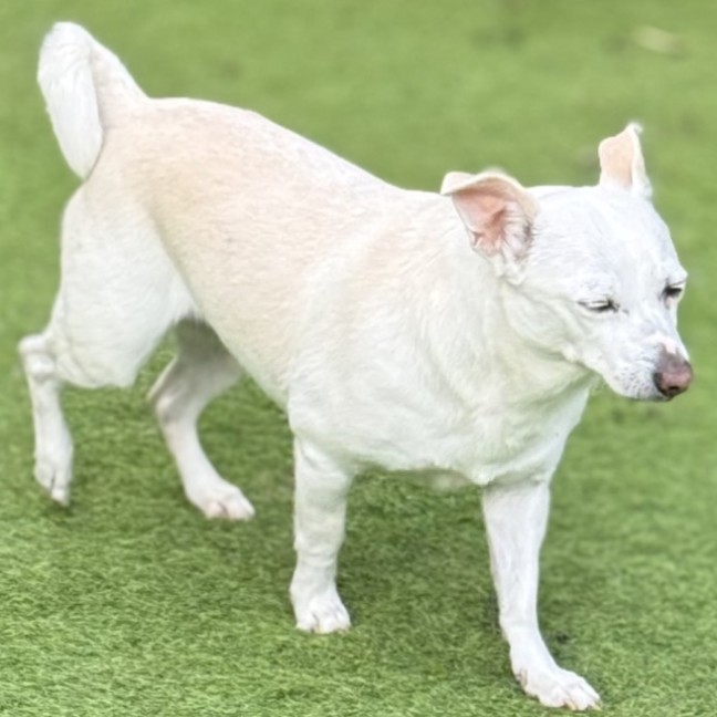 Photo of Missy