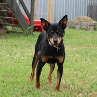 Photo of Maggie