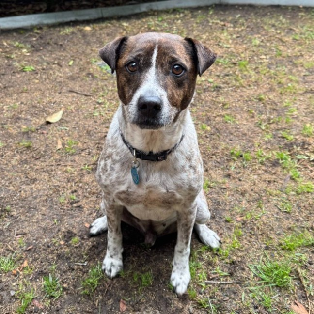 Photo of Pat In The Hat