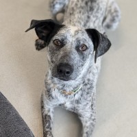 Photo of 🎀 Monica 5585 🎀