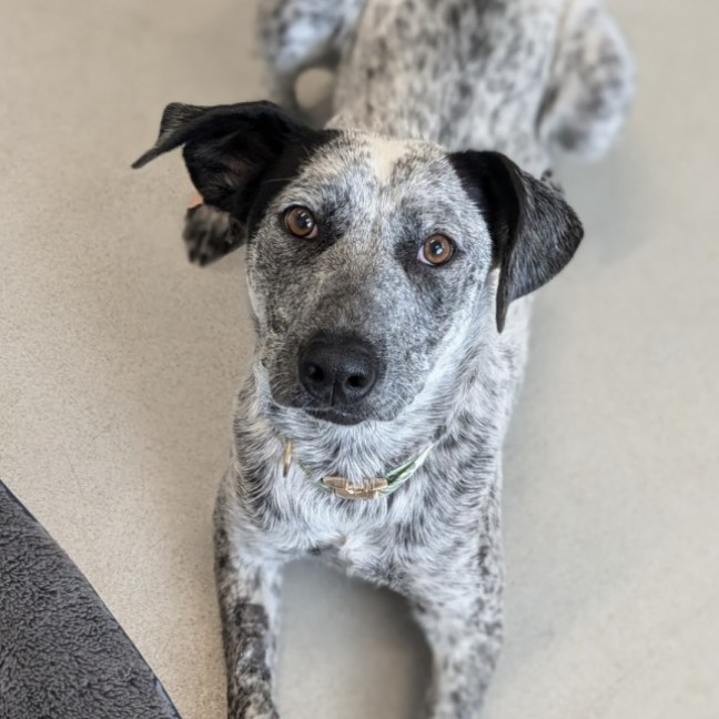 Photo of 🎀 Monica 5585 🎀