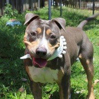 Photo of Mj (Martha Jane)