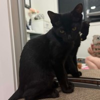 Photo of Keith