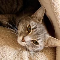Photo of Kira