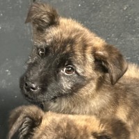 Photo of Betty 🎾🌹