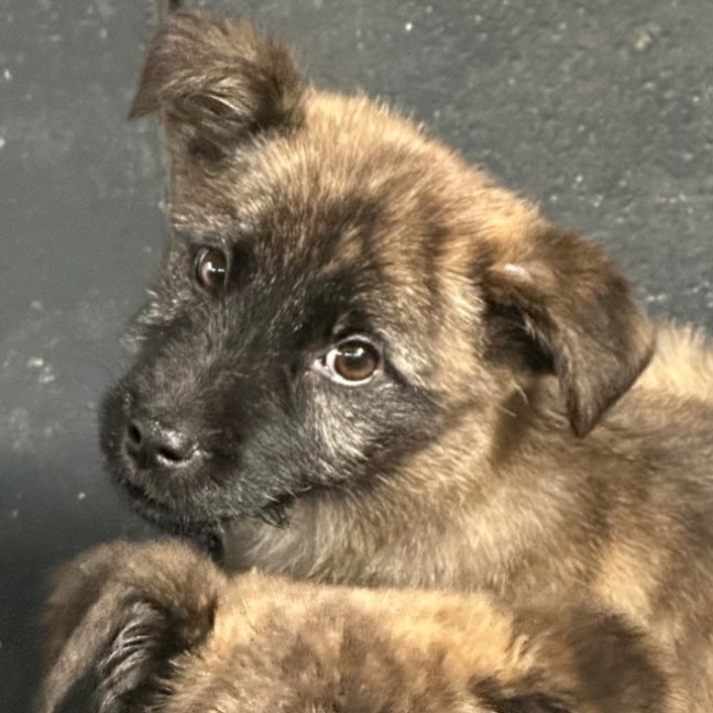 Photo of Betty 🎾🌹