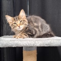 Photo of Lara
