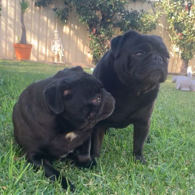 Photo of Lexi & Jay Jay