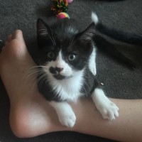 Photo of James Bond 💜