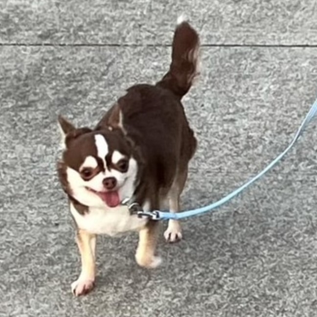 Photo of Ruby & Cinnamon