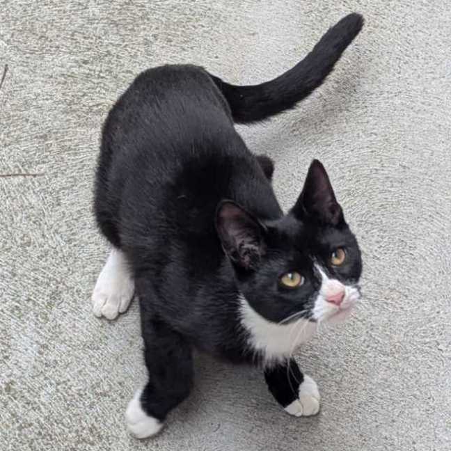 Photo of Michael Teddy 