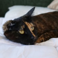 Photo of Storm