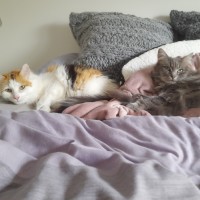 Photo of Luna & Sage