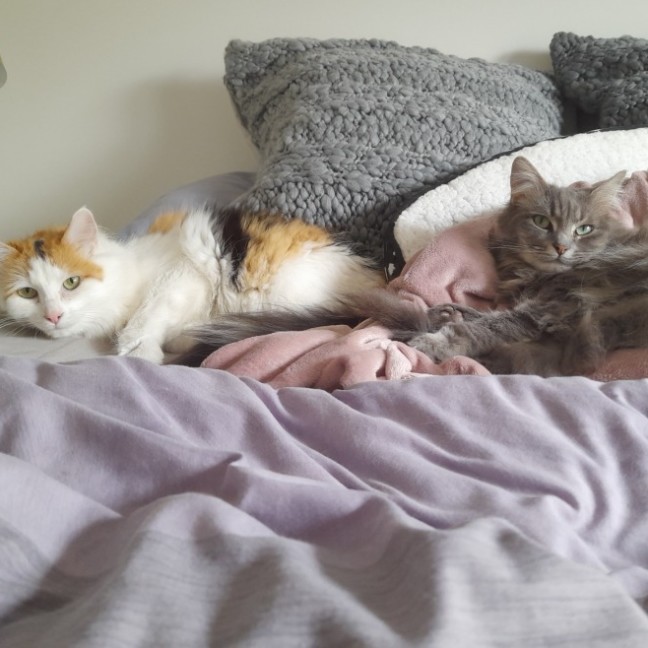 Photo of Luna & Sage