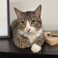 Photo of Normie 💙