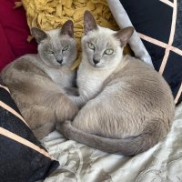 Photo of Justi & Moni