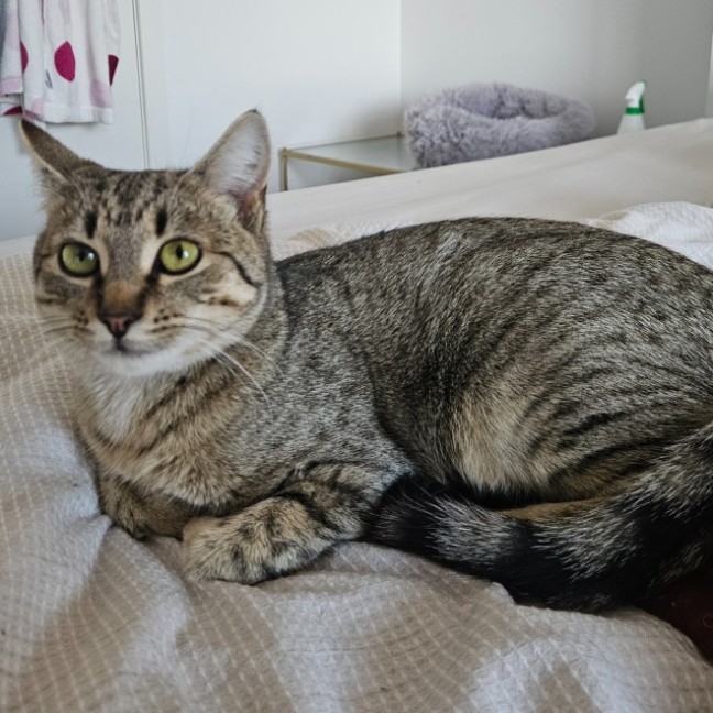 Photo of Sophie