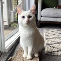 Photo of Cleopatra