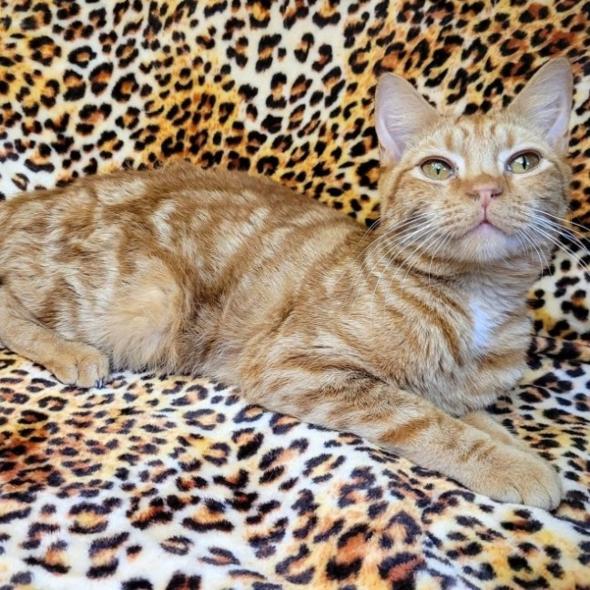 Photo of Kalina & Janalee