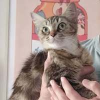 Photo of Priscilla