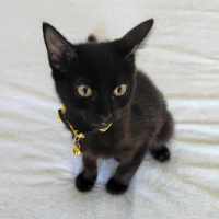 Photo of Edgar