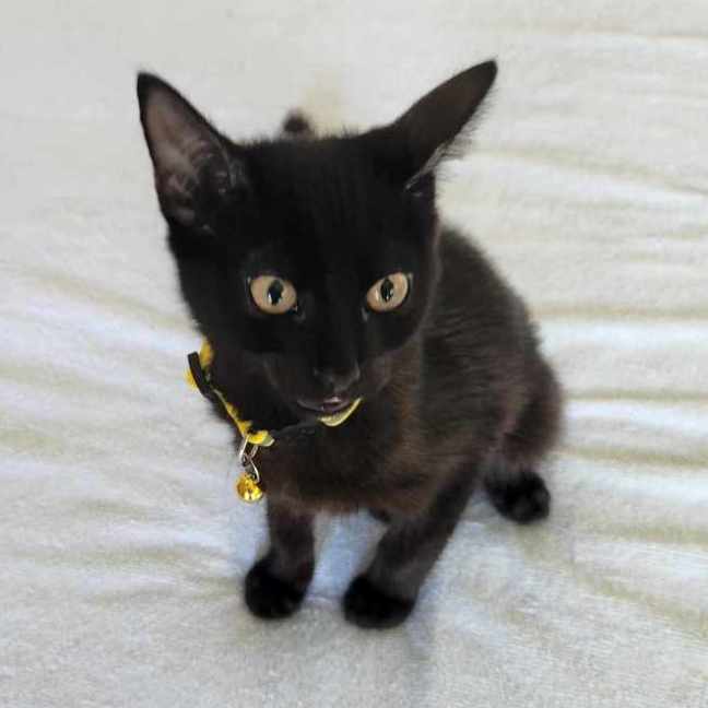 Photo of Edgar