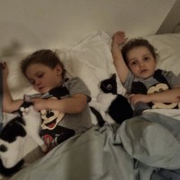 Photo of Lex 💙💙🐾