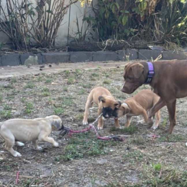 Photo of ⛰️ Coromandel's Litter (Part 2) ⛰️