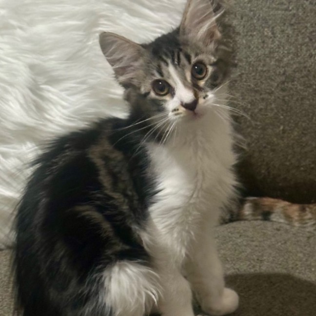 Photo of Zach ❤️😎